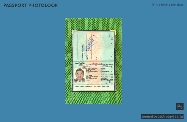Beispielansicht des Passfotos der Republik Niger ab 2022